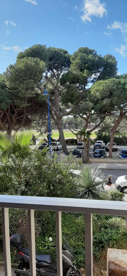 Les Iles D'Or Au Port De Hyeres Grand Studio Climatise Exteriör bild