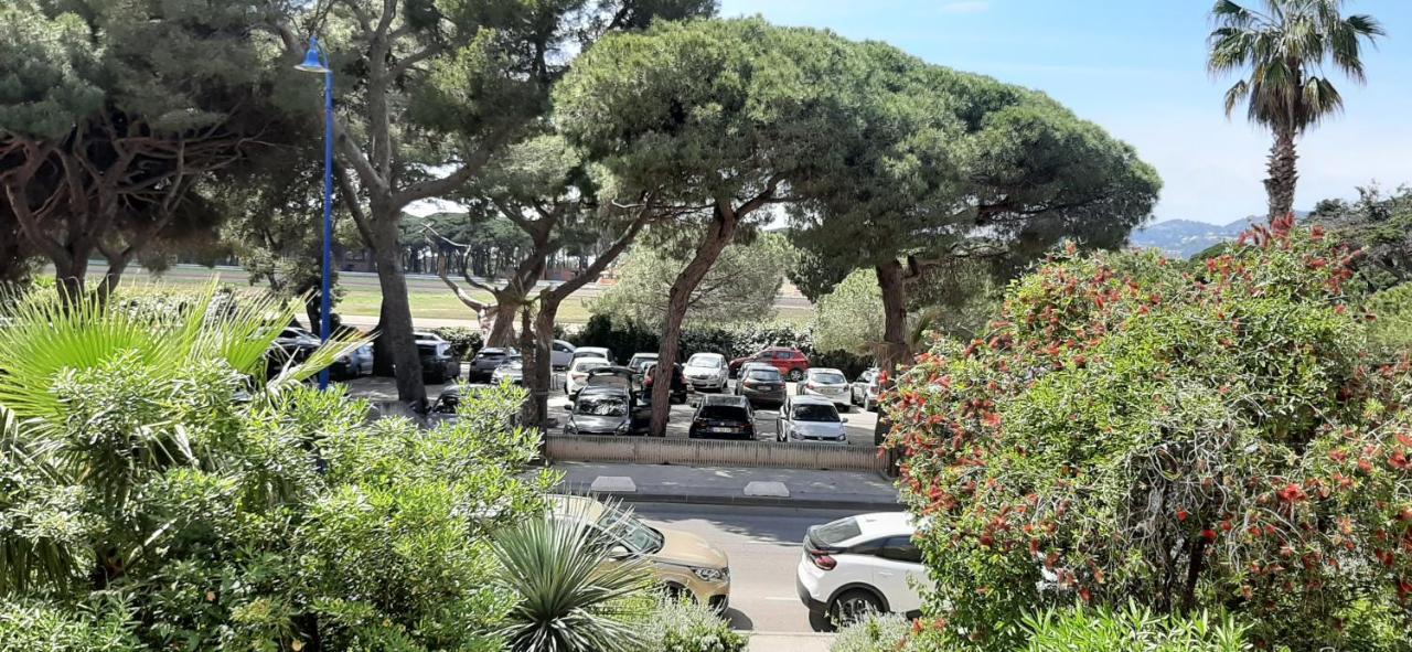 Les Iles D'Or Au Port De Hyeres Grand Studio Climatise Exteriör bild