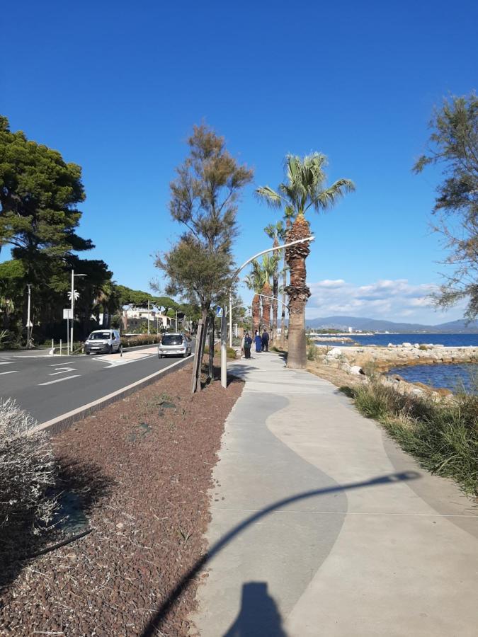 Les Iles D'Or Au Port De Hyeres Grand Studio Climatise Exteriör bild
