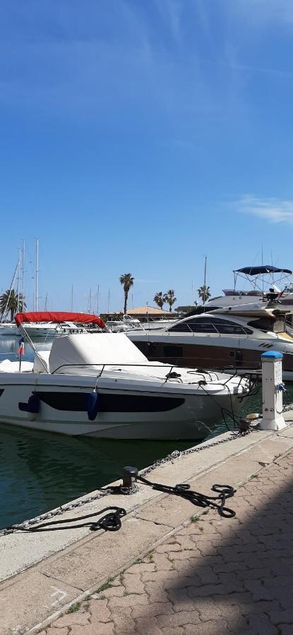Les Iles D'Or Au Port De Hyeres Grand Studio Climatise Exteriör bild